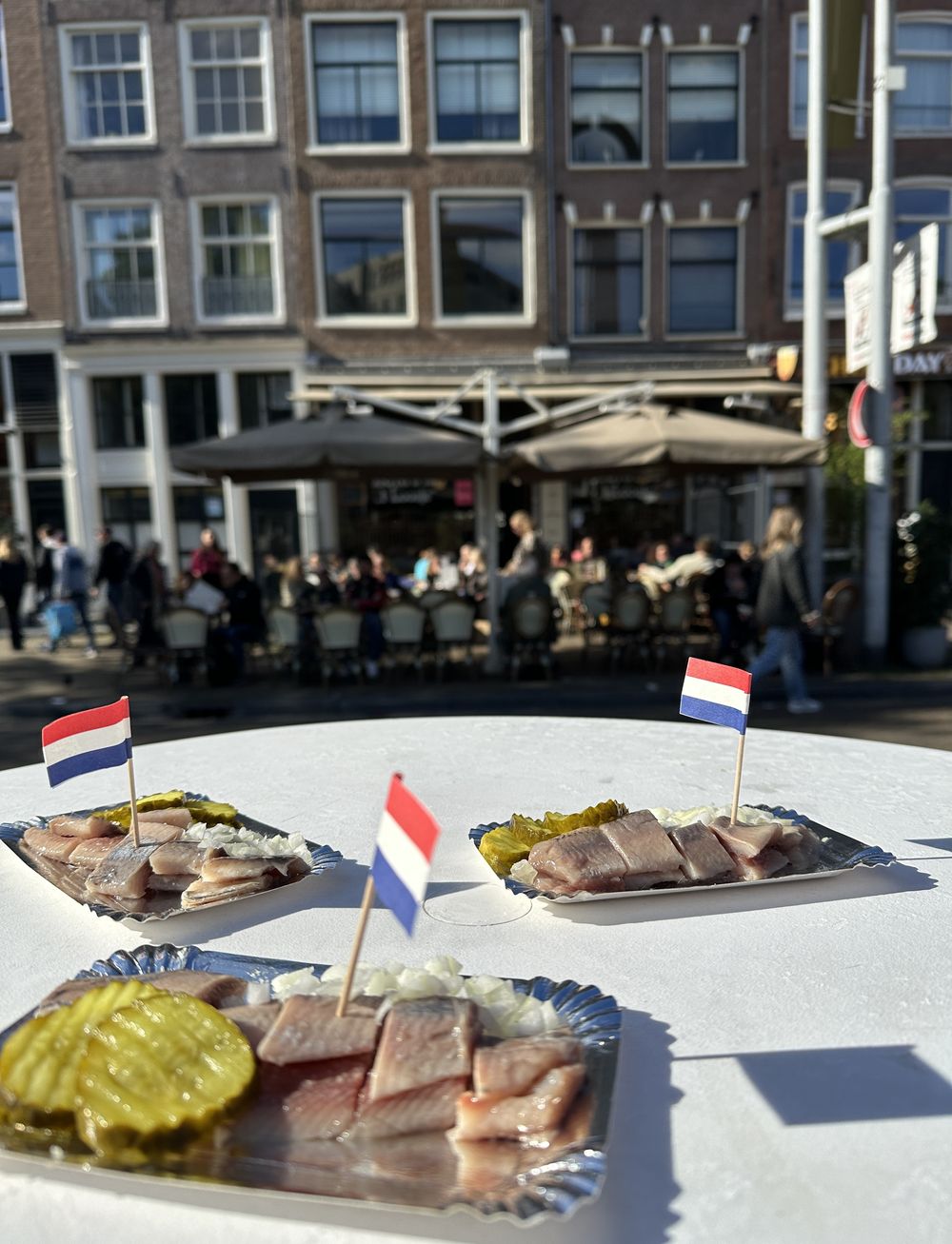 Visiting my son in Amsterdam